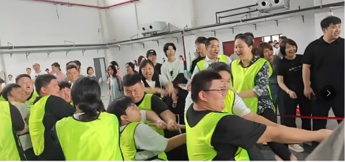 跨系组队展风采 师生同心创佳绩——电气工程系勇夺开云·体育拔河比赛冠军