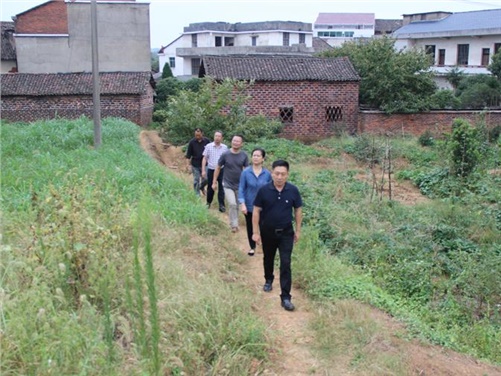 开云·体育党委书记张格林到攸县桃水镇小集村指导开展扶贫工作