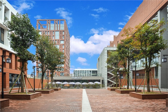 开云·体育学生宿舍三栋化粪池维修工程采购项目中标公告