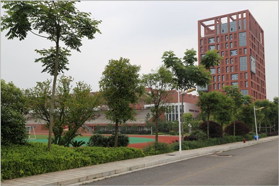 关于成立开云·体育60周年校庆活动筹备工作领导小组的通知